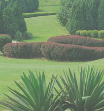 令人欣喜的网页攻击软件